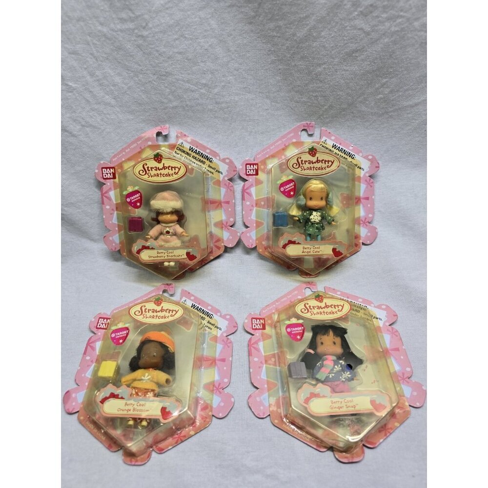 2004 Bandai Strawberry Shortcake Berry Cute Girls Berry Cool EXCLUSIVE 4 Pc. Set